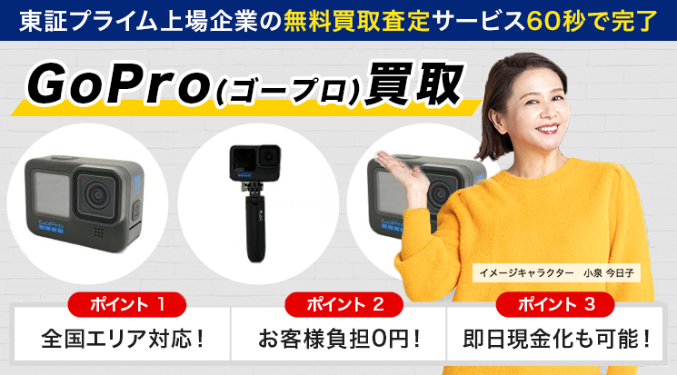 GoPro HERO 9 black アクションカメラ まぶしく 本体 + 付属品一式